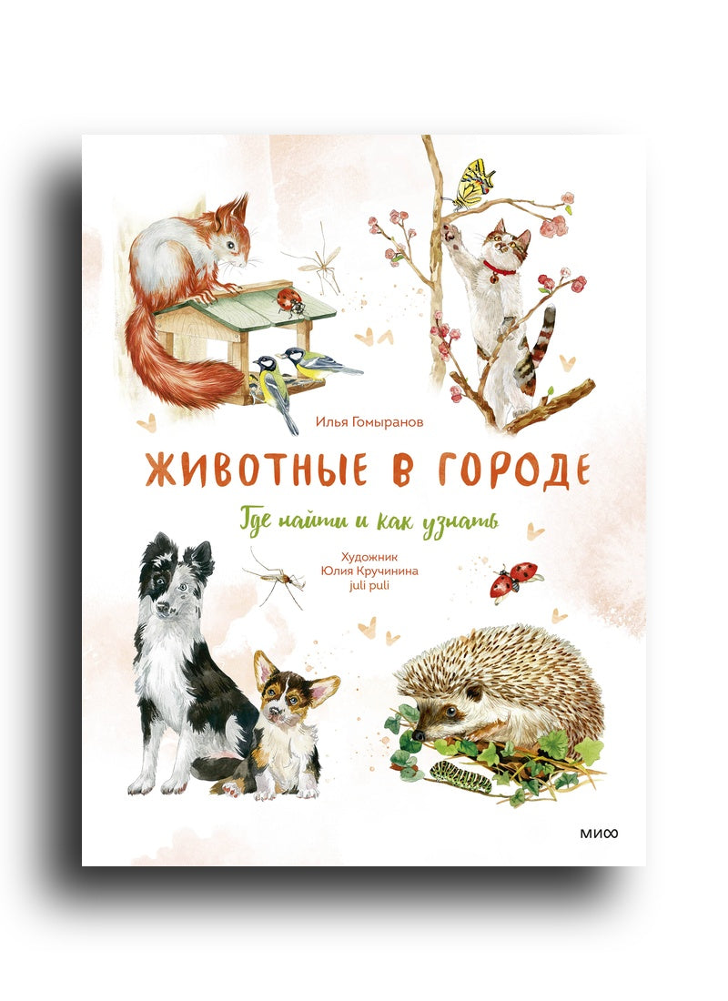 Животные в городе. Где найти и как узнать