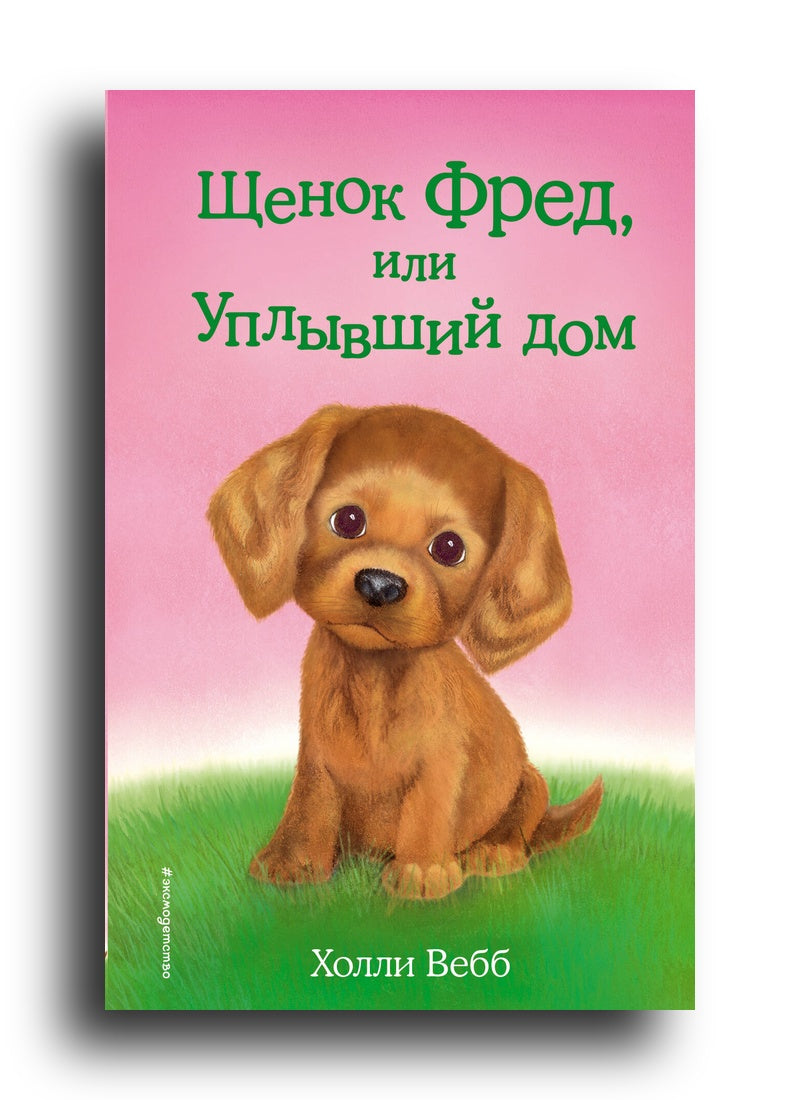 Щенок Фред, или Уплывший дом