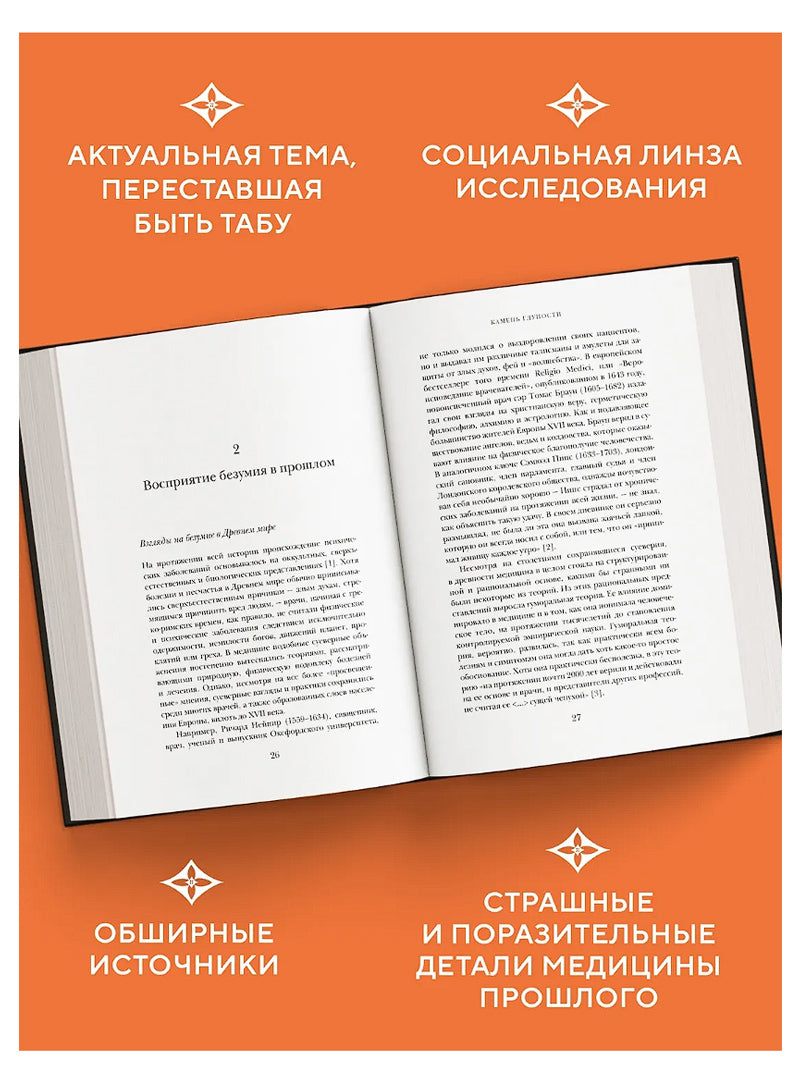 Камень глупости: Всемирная история безумия