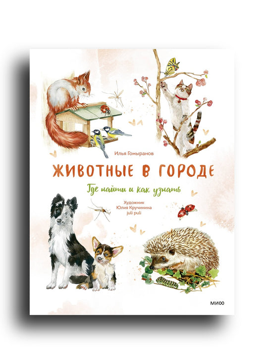 Животные в городе. Где найти и как узнать