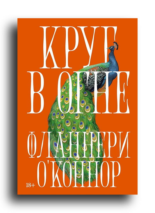 Круг в огне: Рассказы