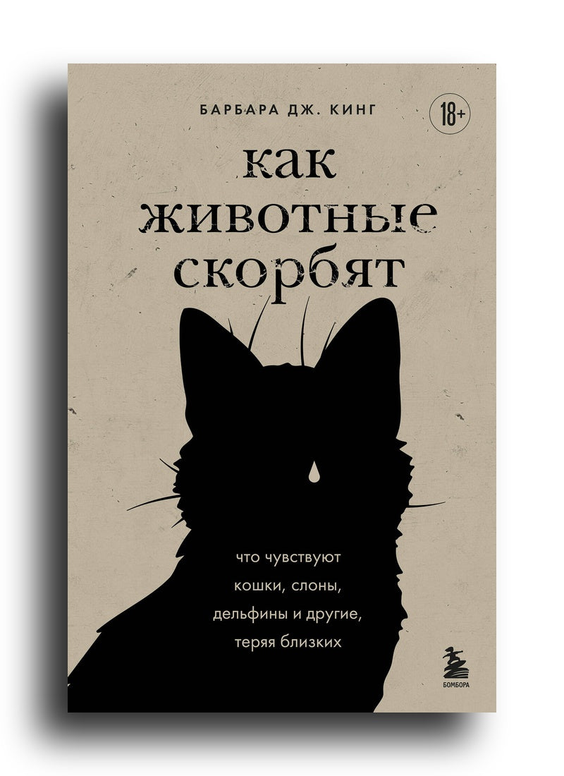Как животные скорбят. Что чувствуют кошки, слоны, дельфины и другие, теряя близких