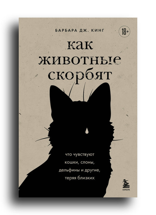 Как животные скорбят. Что чувствуют кошки, слоны, дельфины и другие, теряя близких