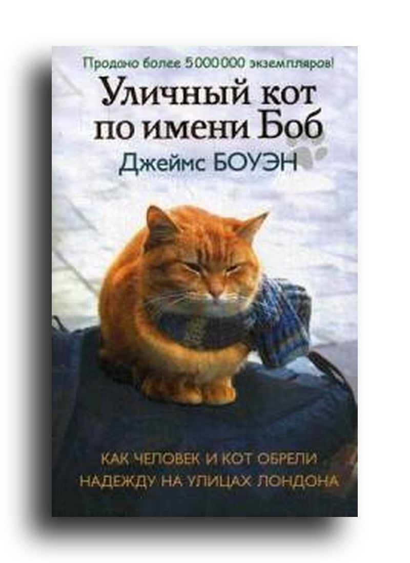 Уличный кот по имени Боб. Как человек и кот обрели надежду на улицах Лондона
