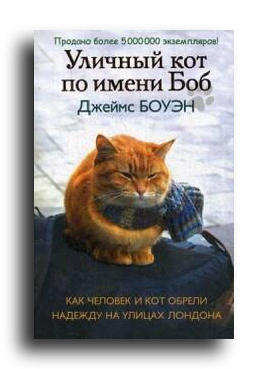 Уличный кот по имени Боб. Как человек и кот обрели надежду на улицах Лондона