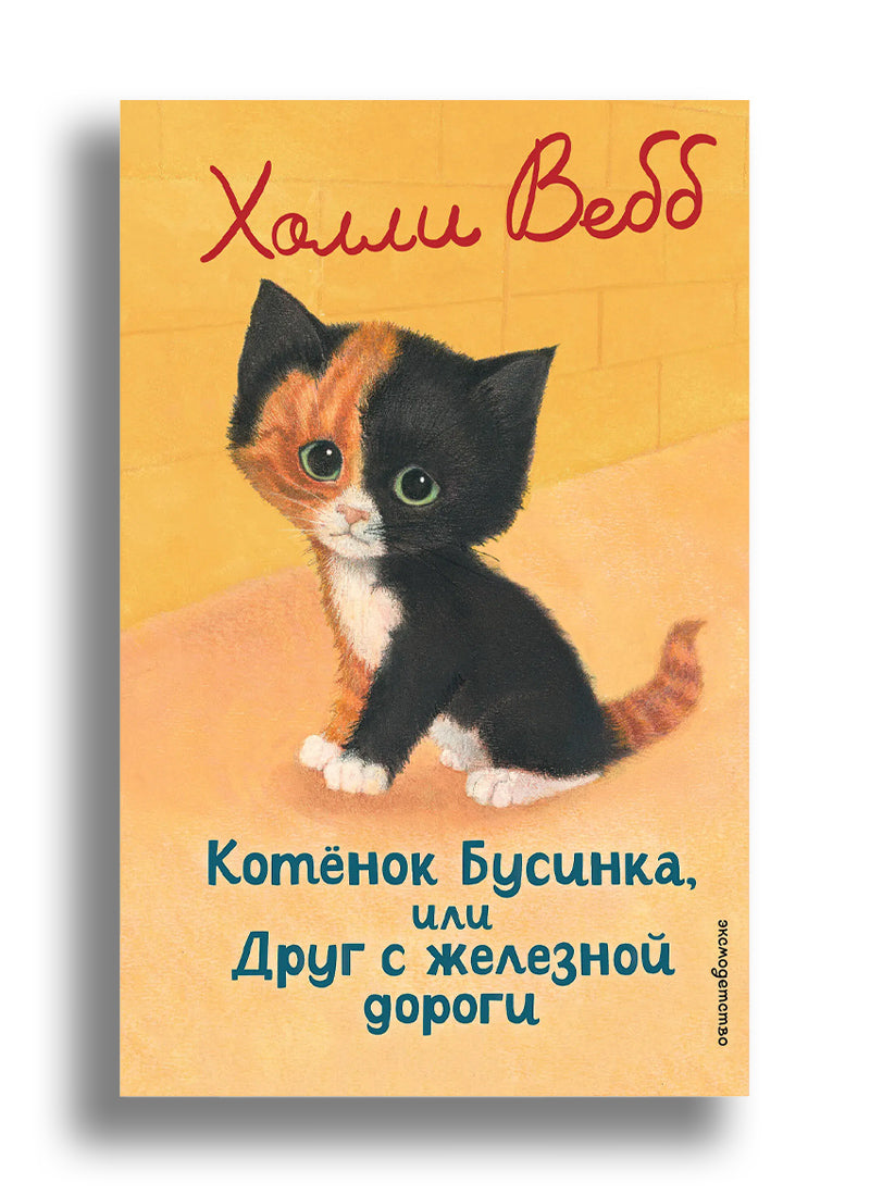 Котенок Бусинка, или Друг с железной дороги