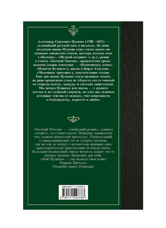 Евгений Онегин. Драмы