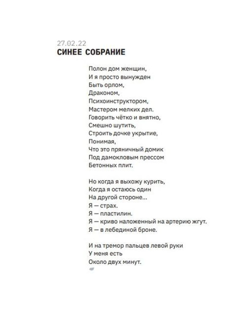 Год гепарда