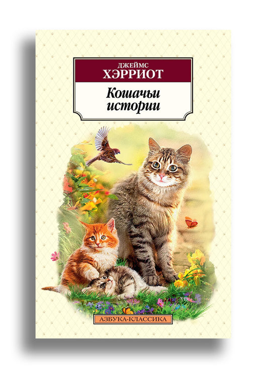 Кошачьи истории