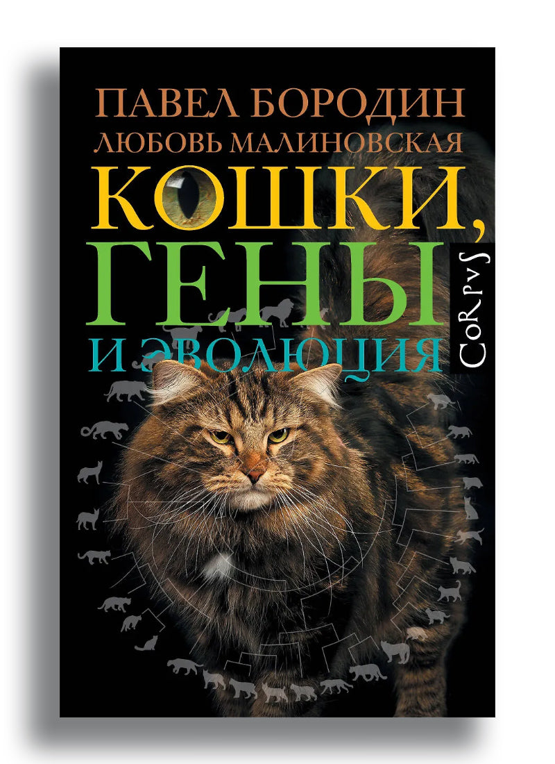 Кошки, гены и эволюция