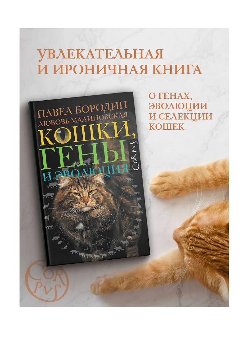Кошки, гены и эволюция