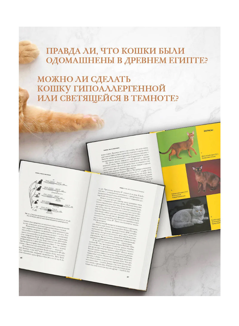 Кошки, гены и эволюция