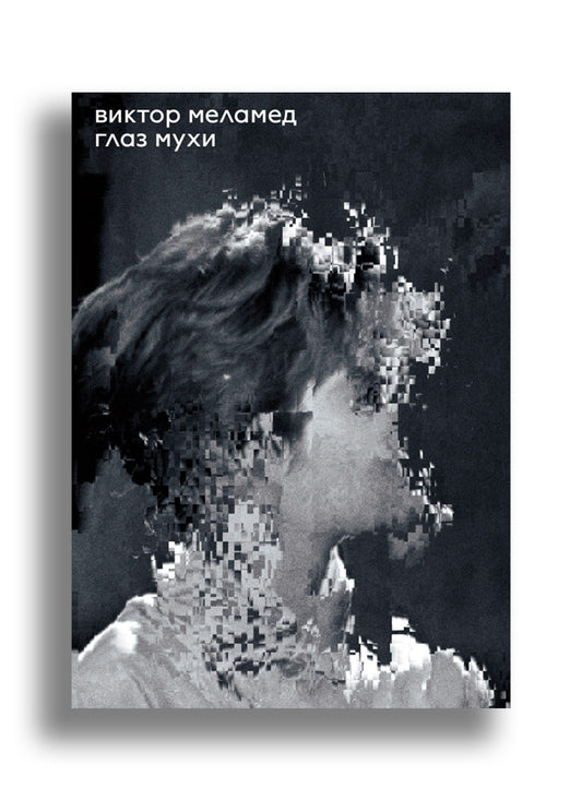 Глаз мухи