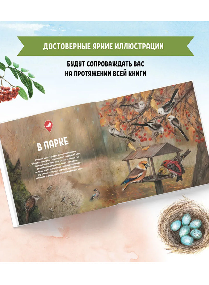 Птицы рядом