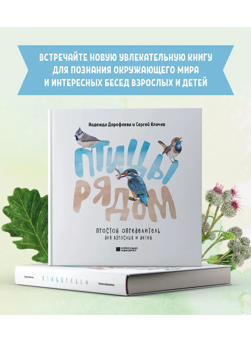 Птицы рядом