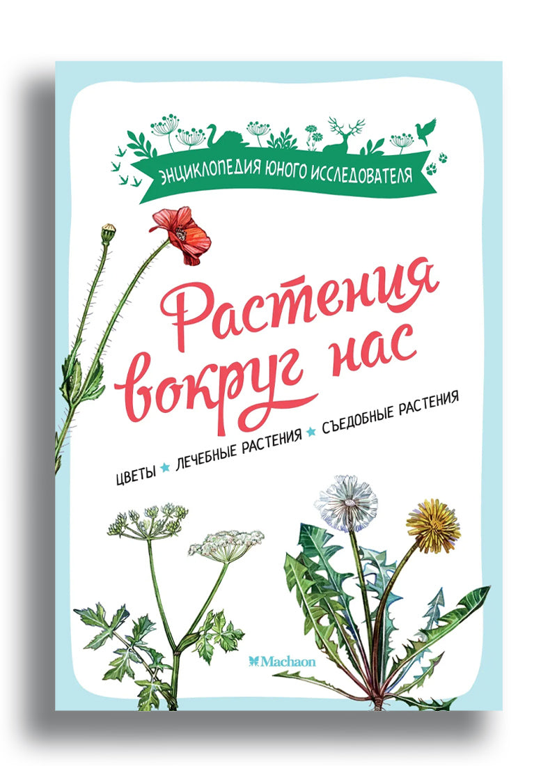 Растения вокруг нас