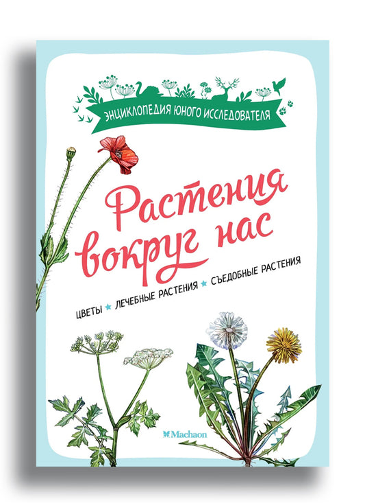 Растения вокруг нас