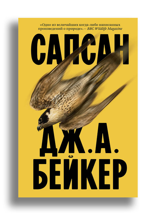Сапсан