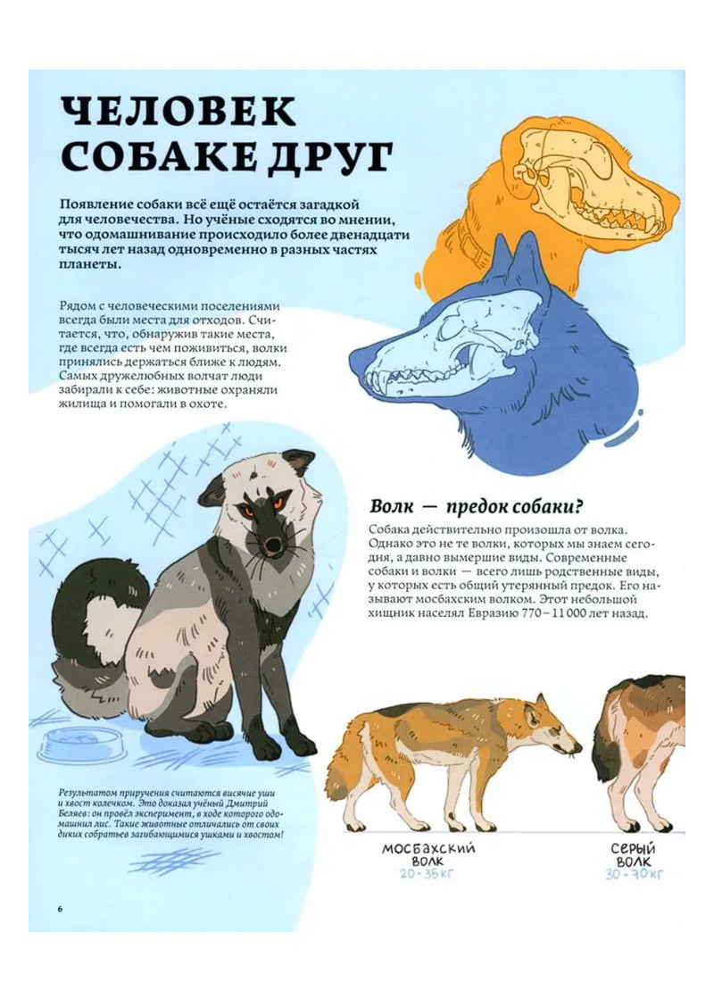 Секреты собак. Как понять собаку и стать ей другом
