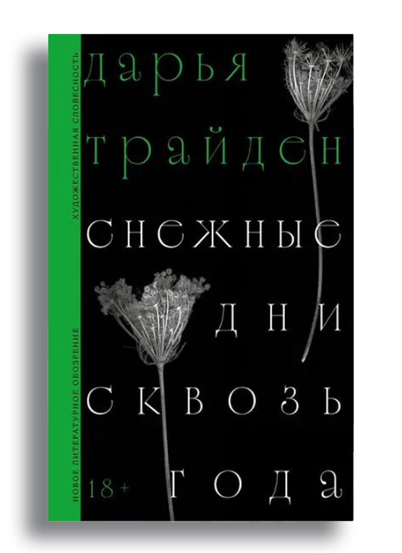 Снежные дни сквозь года: Роман