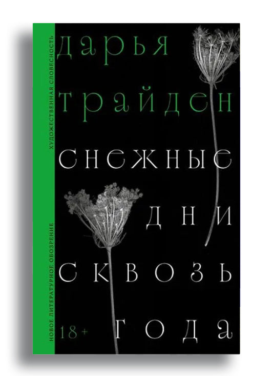 Снежные дни сквозь года: Роман