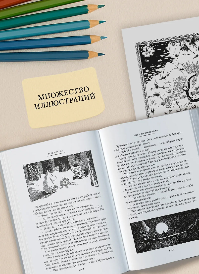 Возвращение домой. Муми-тролли и все-все-все. Кн.2