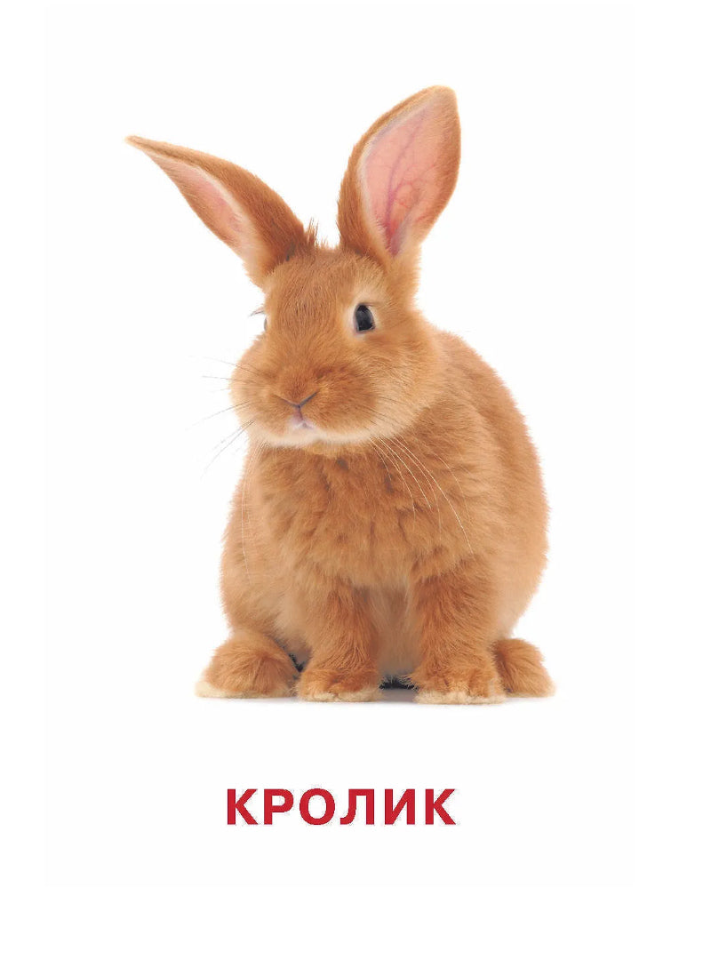 Развивающие карточки Домана. 0-3 лет