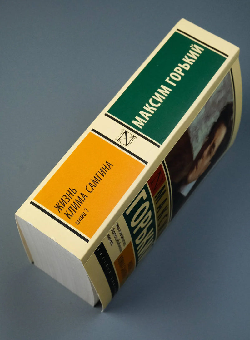 Жизнь Клима Самгина. В 2 кн. Книга 1